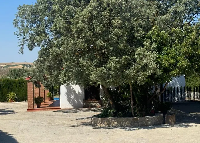 Casa Paco By Casaturistica * רונדה