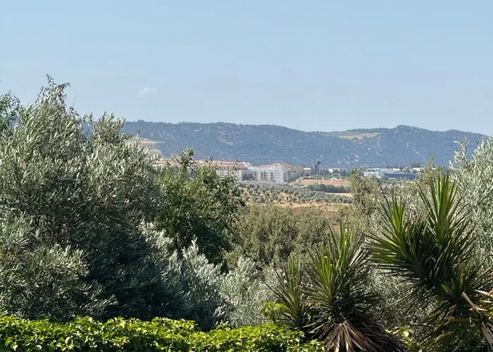 Casa Paco By Casaturistica Ronda